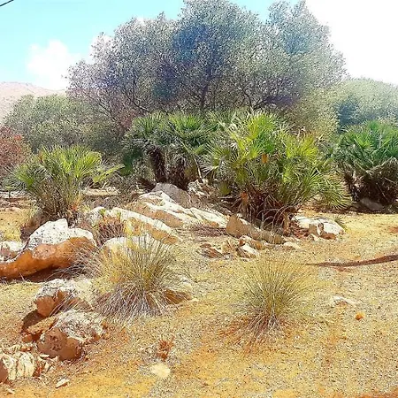 Villa La Macchia Mediterranea Scopello (Sicily)