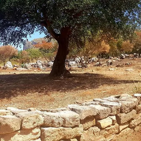 La Macchia Mediterranea