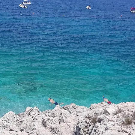 La Macchia Mediterranea *